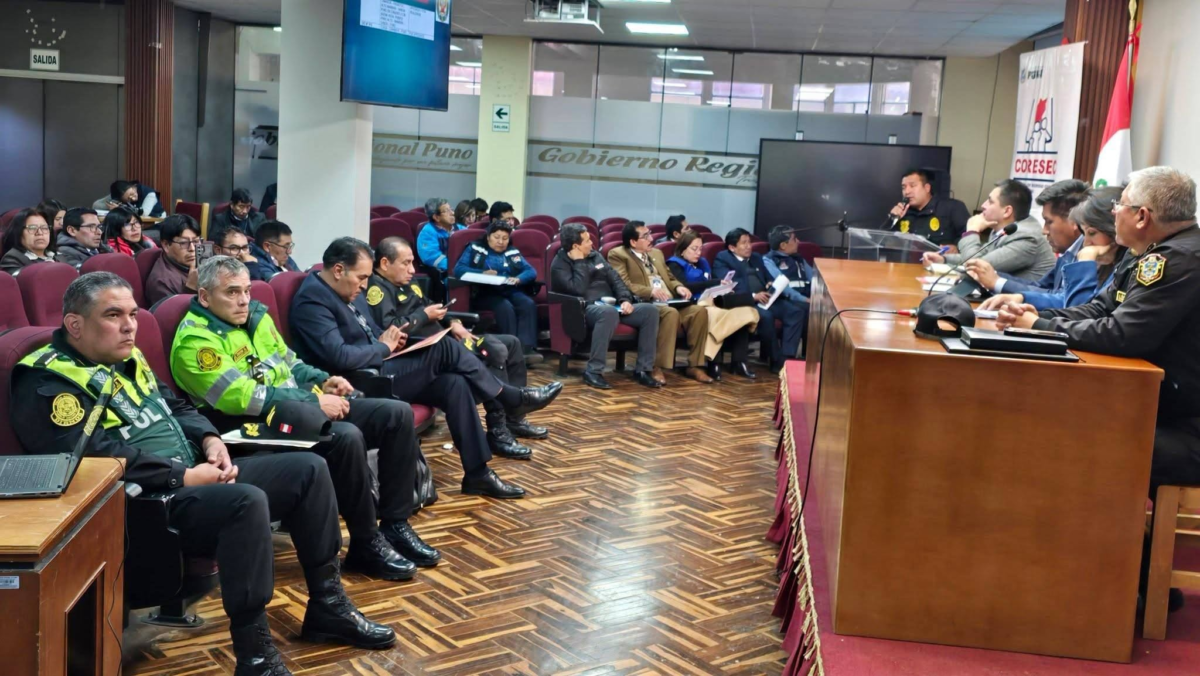Puno busca estado de emergencia ante avance de la minería ilegal