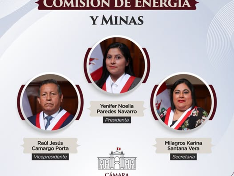 Senadores y diputados con posiciones radicales decidirán futuro del Reinfo