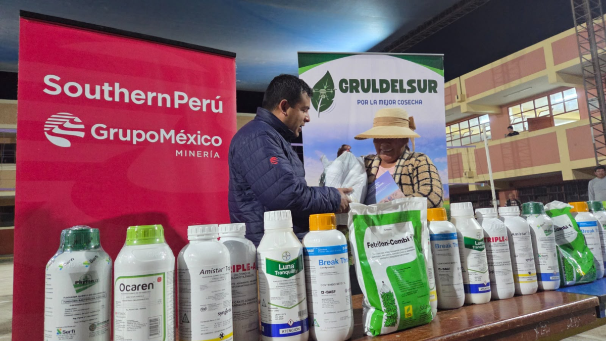 Tía María: Southern Perú impulsa productividad del ajo en Islay