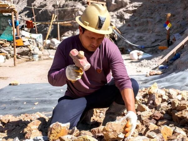 Ley MAPE busca formalizar a 31,563 pero enfrenta serios cuestionamientos